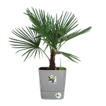 greensense aqua care carré 38cm ciment clair